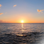 Nýtt pop-up námskeið: Í myndum og mildi